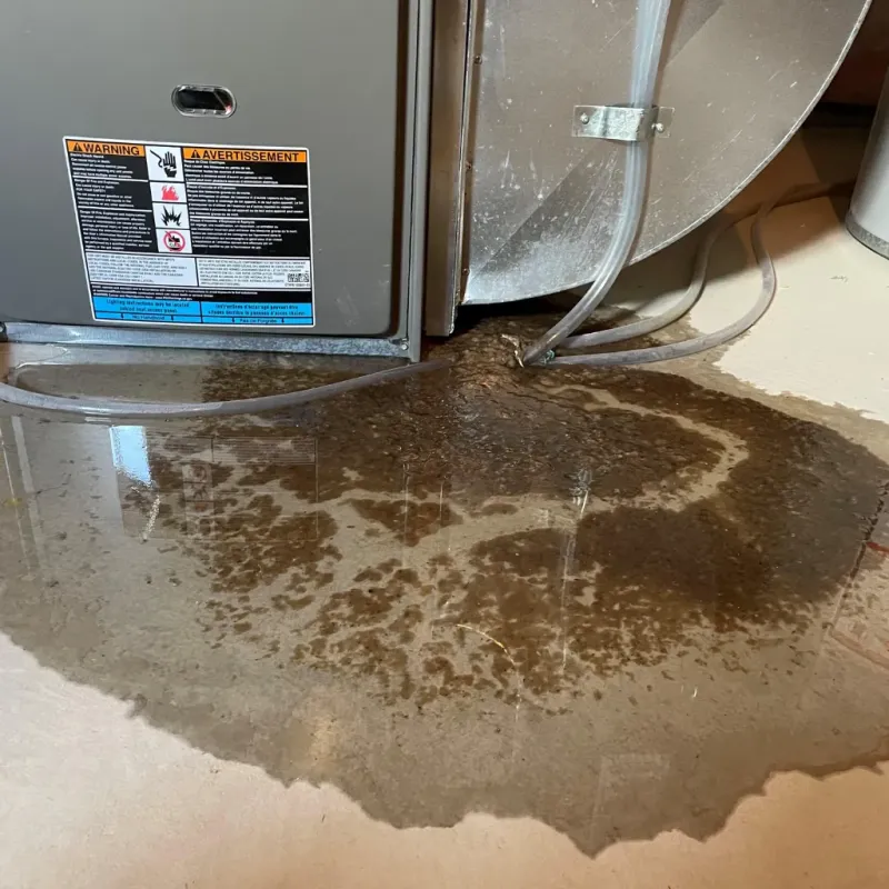 Appliance Leak Cleanup in Fort Myers Shores, FL